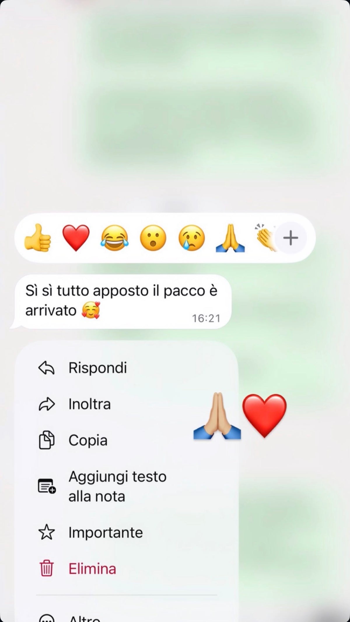 Feedback WhatsApp Genesi: Il pacco è arrivato