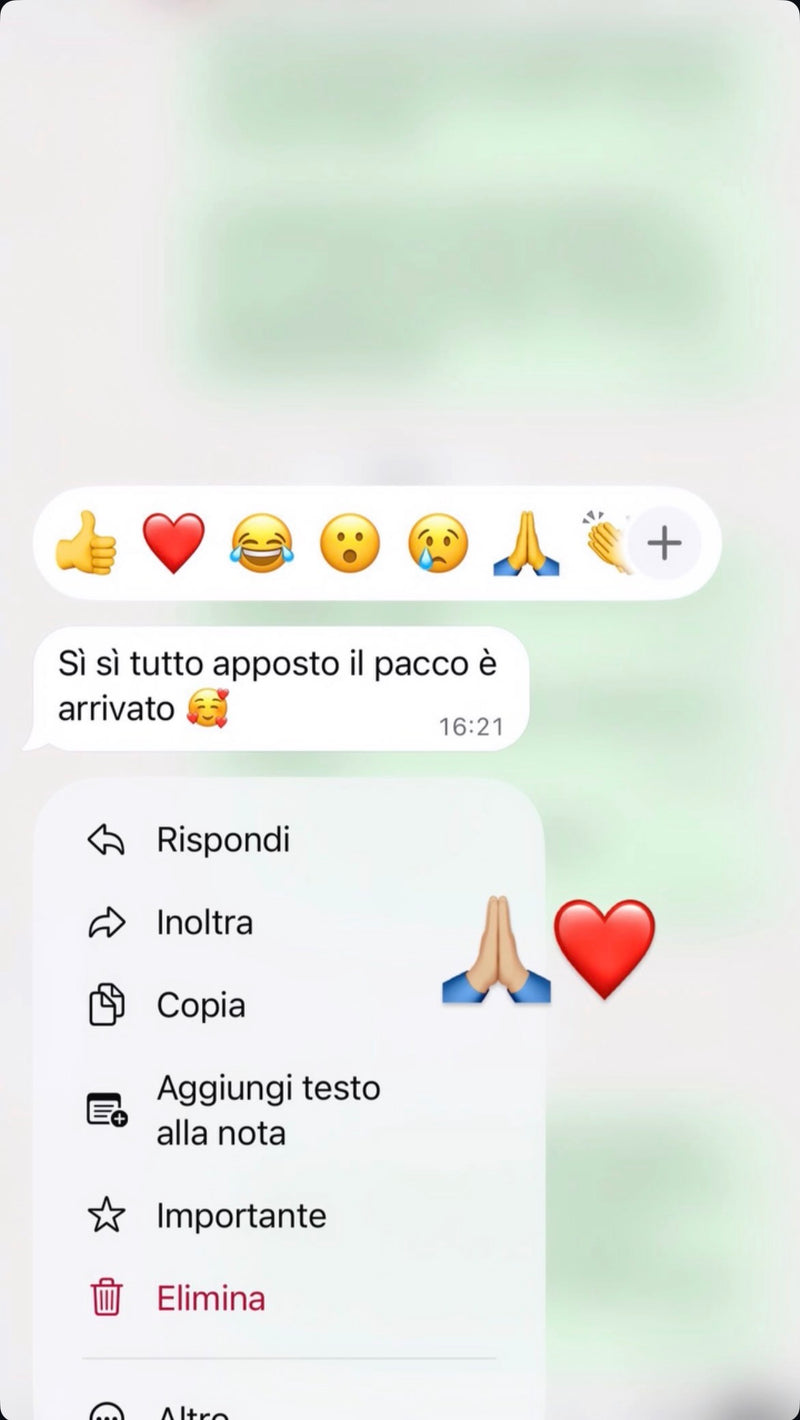 Feedback WhatsApp Genesi: Il pacco è arrivato