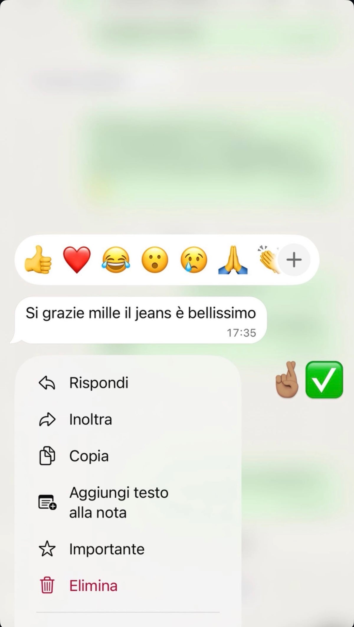 Feedback WhatsApp Genesi: Il jeans è bellissimo